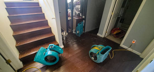 Best Water damage cleanup near me  in Eslon, CA