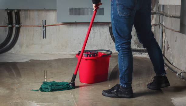Best Water damage contractors near me  in Eslon, CA