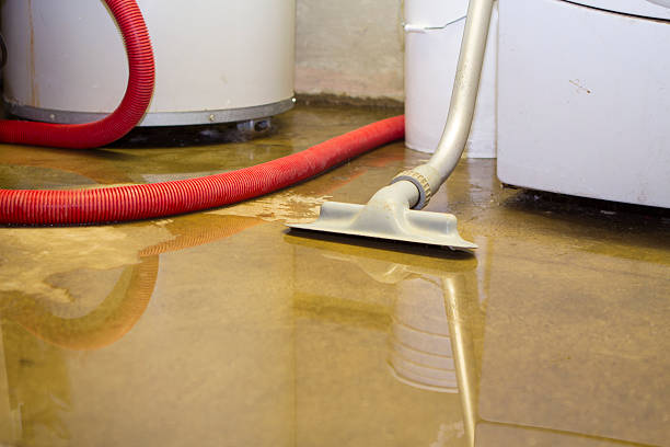Best Local water damage restoration  in Eslon, CA