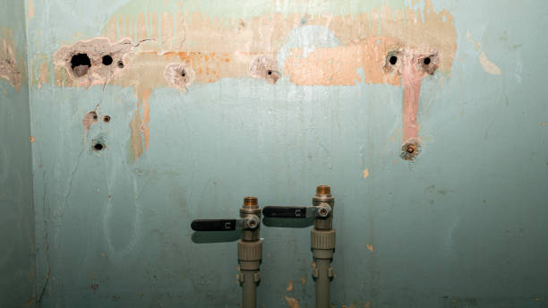 Best Residential water damage restoration  in Eslon, CA