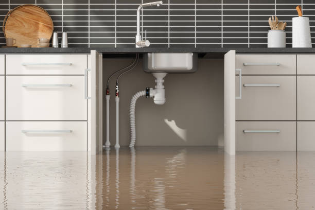 Professional Water damage restoration in CA