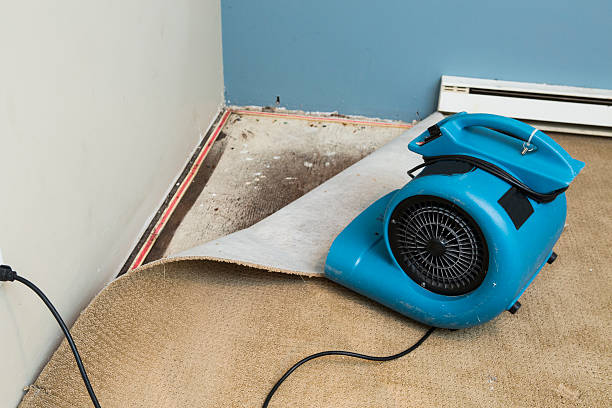 Best Ceiling water damage repair  in Eslon, CA